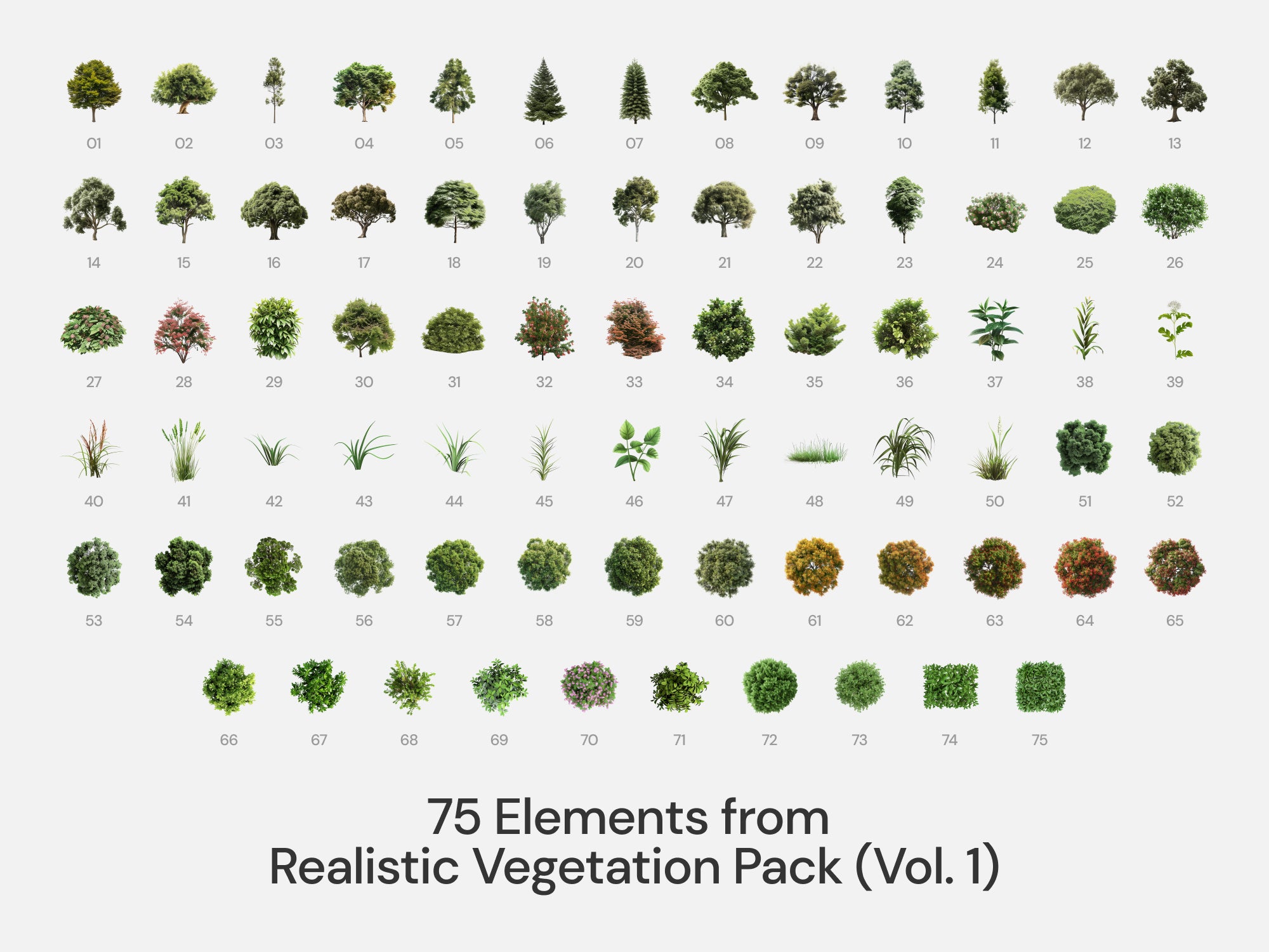 Realistic - Style Bundle