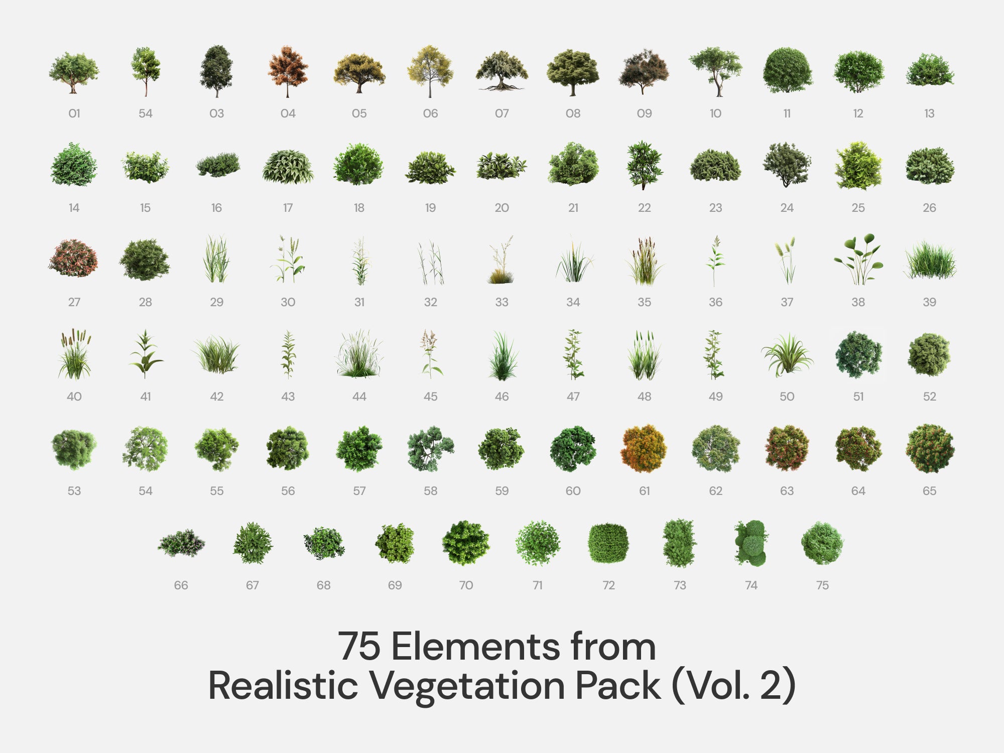 Realistic - Style Bundle