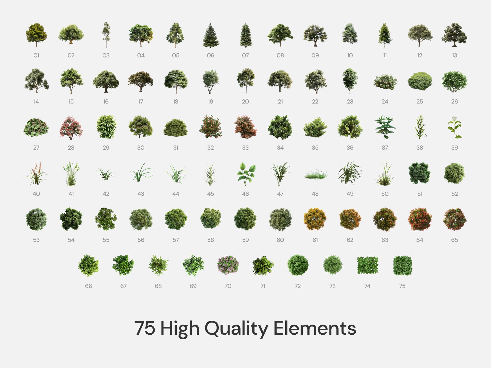 Realistic Vegetation Pack (Vol. 1)