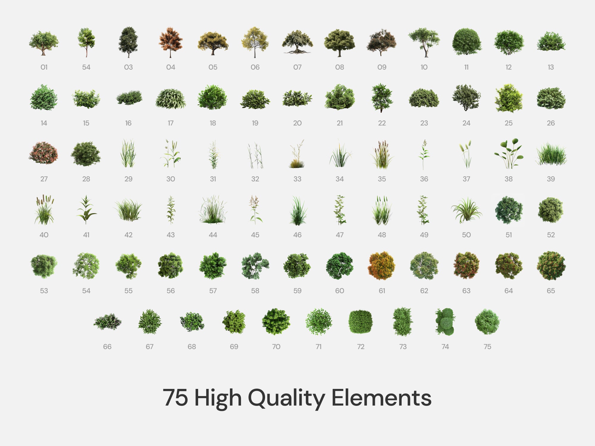 Realistic Vegetation Pack (Vol. 2)