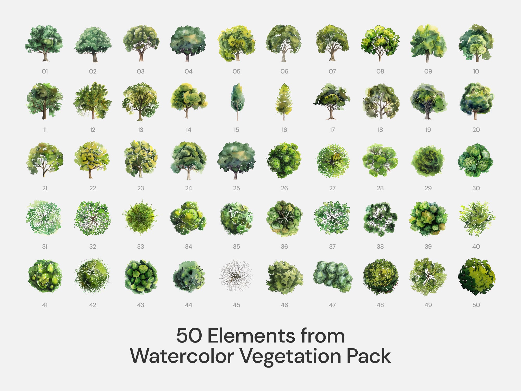 Watercolor - Style Bundle