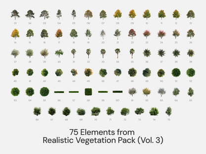 Realistic - Style Bundle