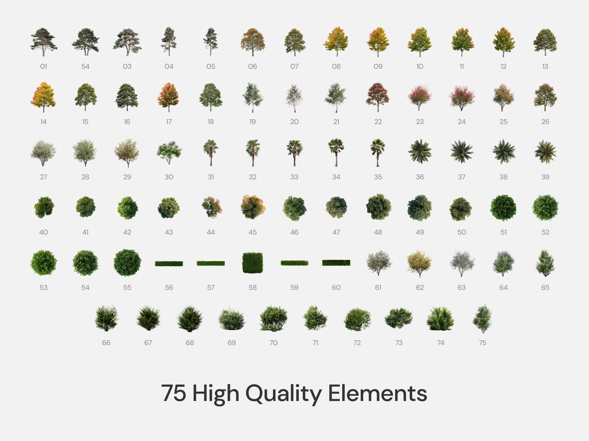 Realistic Vegetation Pack (Vol. 3)