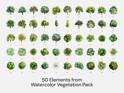 Watercolor - Style Bundle