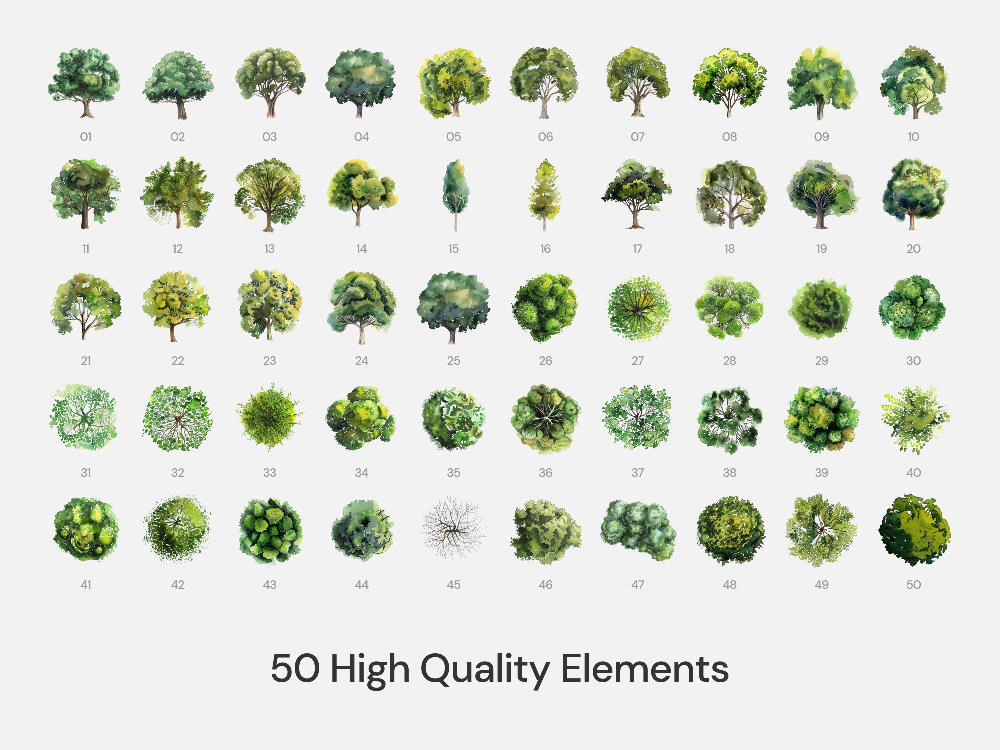 Watercolor Vegetation Pack